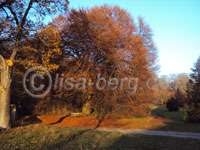  Schlosspark Beyer Naumburg in der Herbstsonne